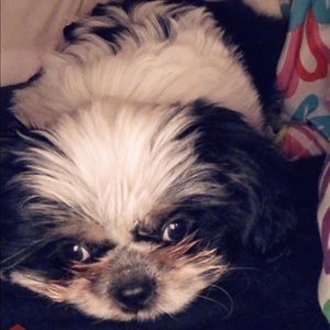 Meet your Posher, Porsha